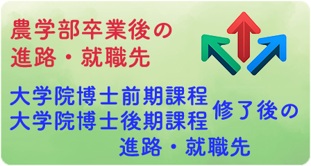 卒業生・修了生の進路状況