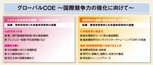 グローバルCOE ～国際競争力の強化に向けて～