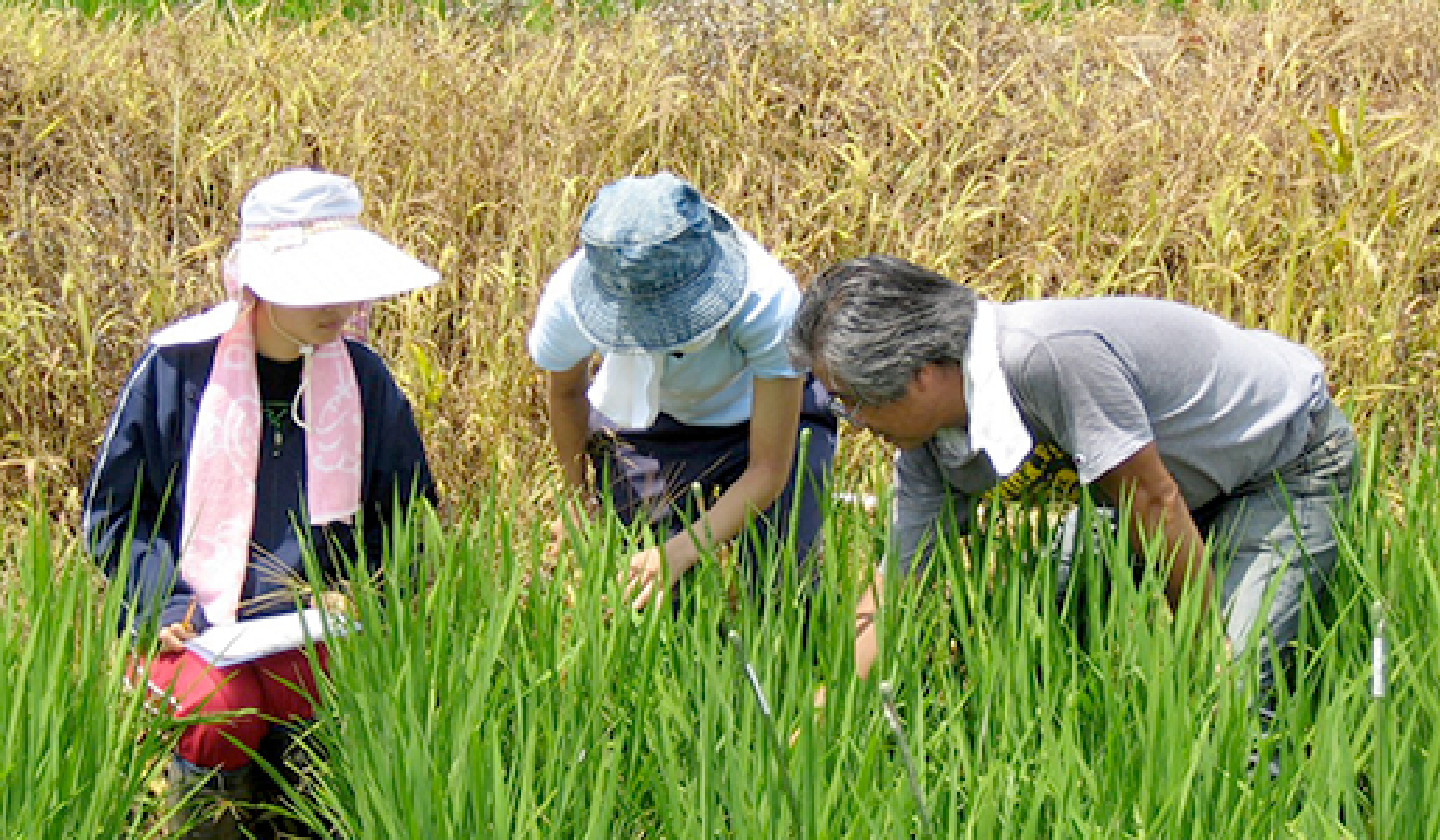 植物生産科学専攻